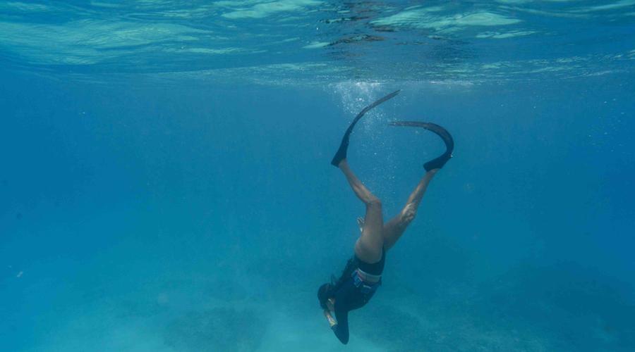 Snorkel en Fuerteventura: Sumérgete en el paraíso submarino del norte Buendía Corralejo Snorkel en Fuerteventura: Sumérgete en el paraíso submarino del norte Buendía Corralejo